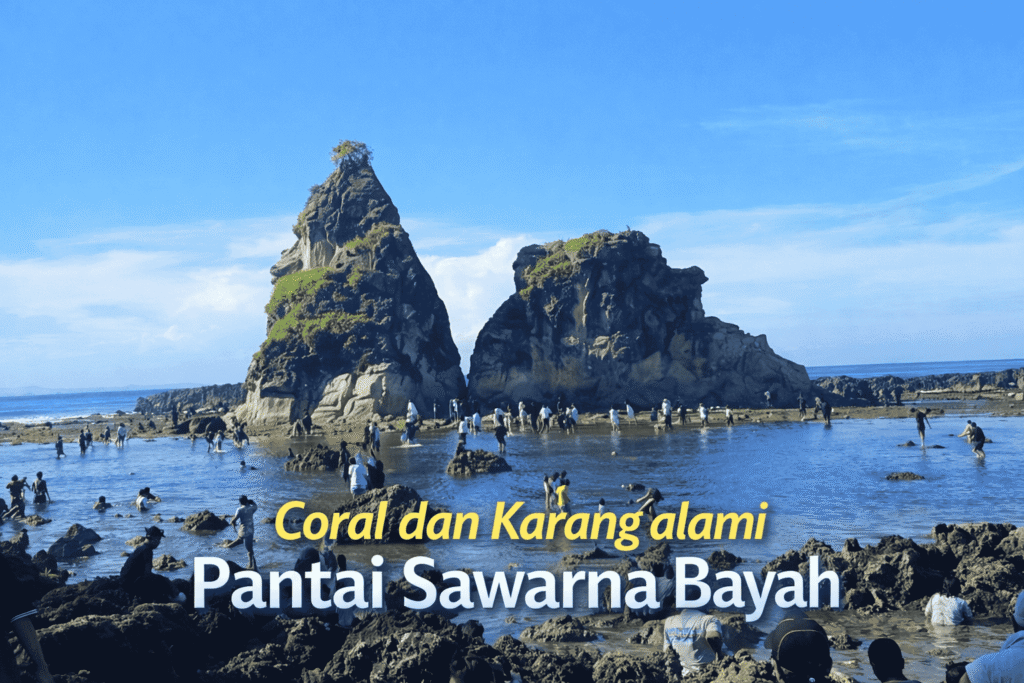 coral dan karang alami pantai sawarna bayah